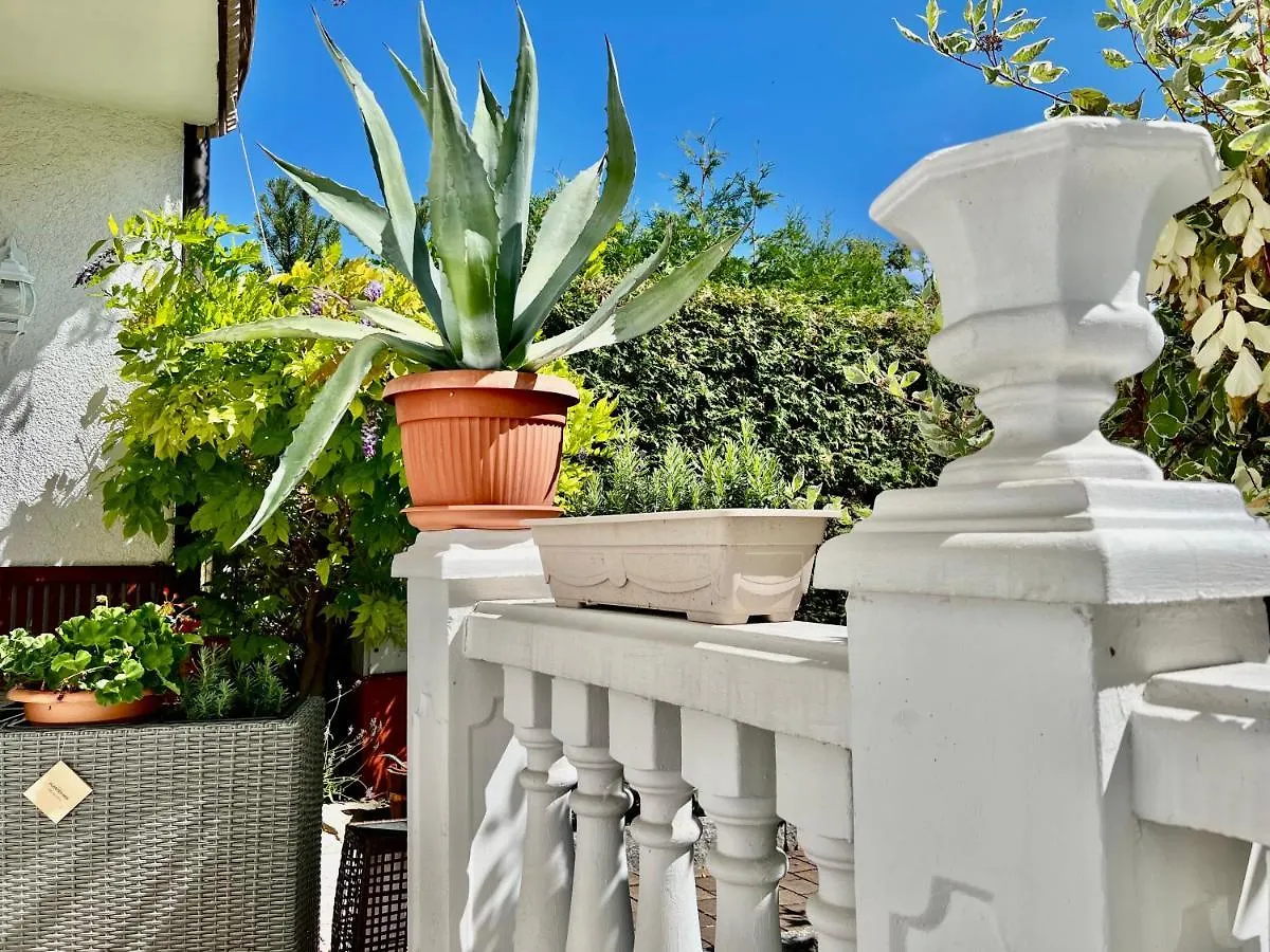 Homestay Studio Muenchen Nahe Olympiapark Apartment